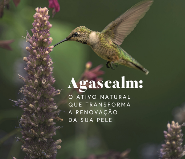 Agascalm: o ativo natural que transforma a renovação da sua pele