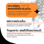 Creatina 100% Pura (Micronizada e Monohidratada) | 300 g | 100 doses
